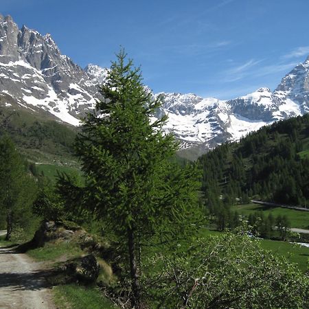 Hotel Meublè Meridiana Valtournenche Bagian luar foto