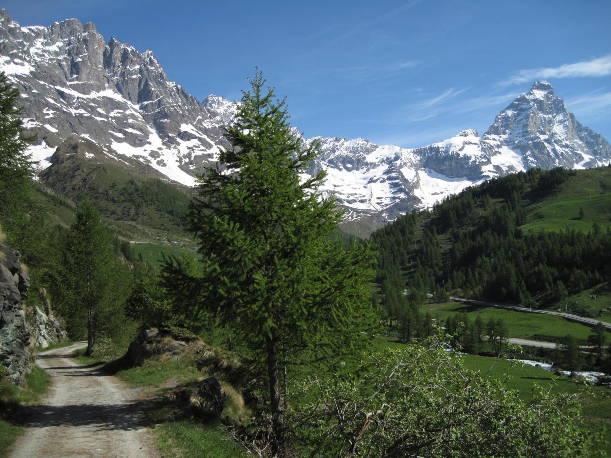Hotel Meublè Meridiana Valtournenche Bagian luar foto
